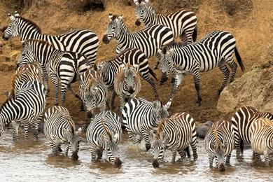 Top 1920x1080 Wallpapers Hd 1080p Images For Pinterest