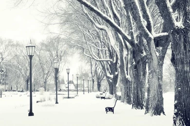 Winter In The Park Wallpapers   Photography Wallpapers