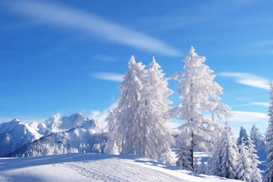 1366x768 Winter Desktop PC And Mac Wallpapers