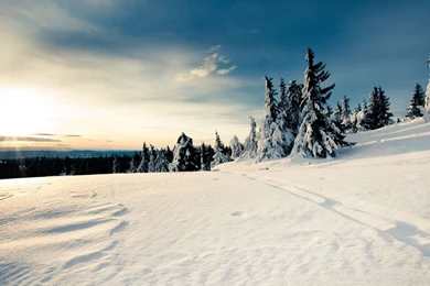 InterfaceLIFT: 1366x768 Wallpapers Sorted By Comments