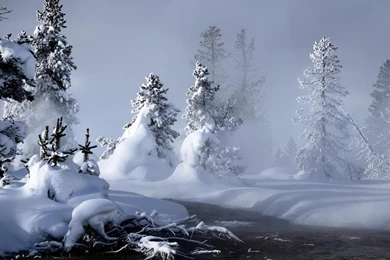 Winter HD 1366x768