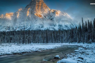 River Running Around The Forest In The Winter Wallpapers
