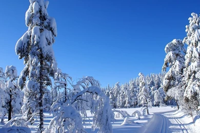 Winter Snow Wallpapers   2011