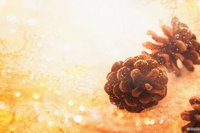 Free Wallpapers   Free Nature Wallpapers   Cg Seasons Autumn Winter ...