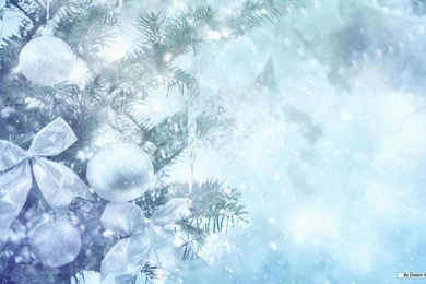 Free Wallpapers   Free Nature Wallpapers   Cg Seasons Autumn Winter ...