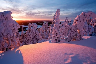 Winter Landscape Wallpapers