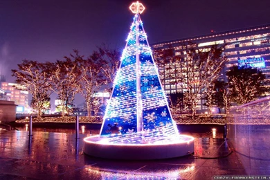 Beautiful Christmas Wallpapers   Crazy Frankenstein