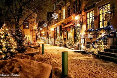 MAGICAL CHRISTMAS WALLPAPER   (