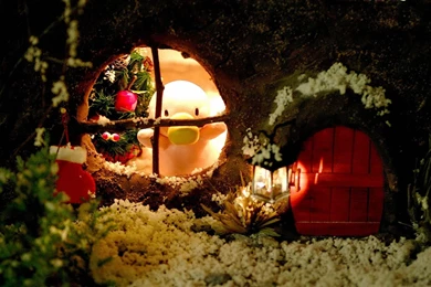 1680*1050 Widescreen Christmas Decoration   Christmas Ornament ...