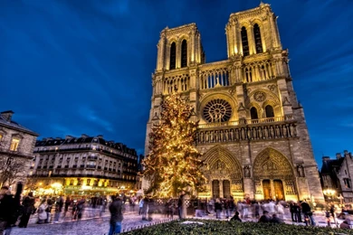 Download Wallpapers 1680x1050 Notre Dame, Notre Dame De Paris ...