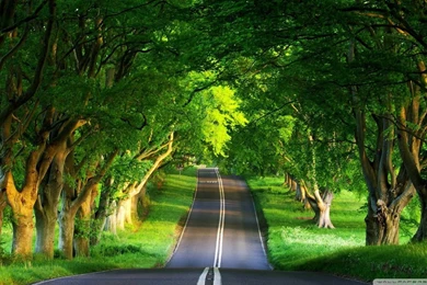 Hd wallpaper 1920x1080 nature