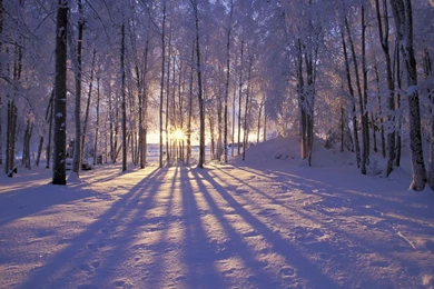 Winter Wide 1440x900