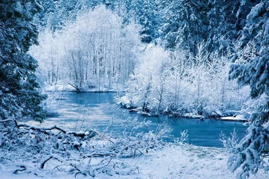 The Winter 1440x900 Wallpapers, 1440x900 Wallpapers & Pictures ...