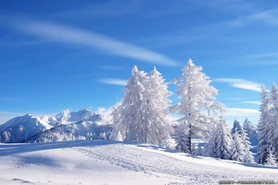 Winter Landscape Wallpapers   Crazy Frankenstein
