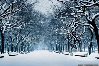 Winter Season Wallpapers   Crazy Frankenstein