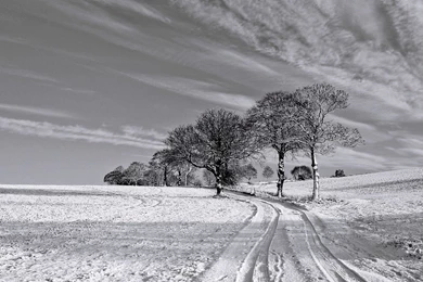 1440x900 Black And White Winter Desktop PC And Mac Wallpapers