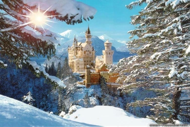 Neuschwanstein Castle Wallpapers   Crazy Frankenstein
