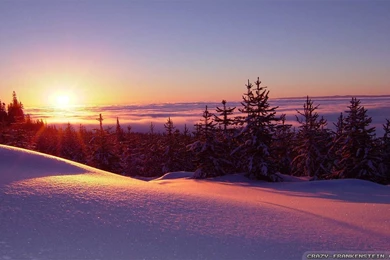 Winter Sun Wallpapers 2   Crazy Frankenstein