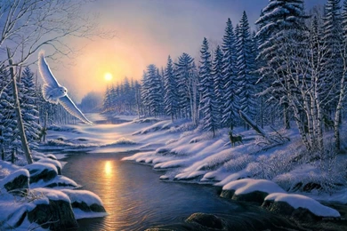 Winter Owl Windows 8 Painting Wallpapers Wallpapers X