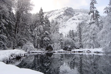 1440x900 Winter Reflection Desktop PC And Mac Wallpapers