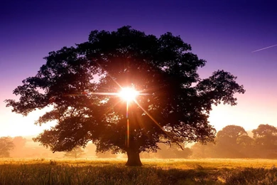 A Place For Free HD Wallpapers