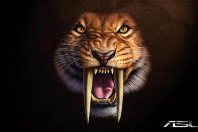 SABERTOOTH WALLPAPER   (