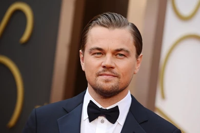 Full HD 1080p Leonardo Dicaprio Wallpapers HD, Desktop Backgrounds ...