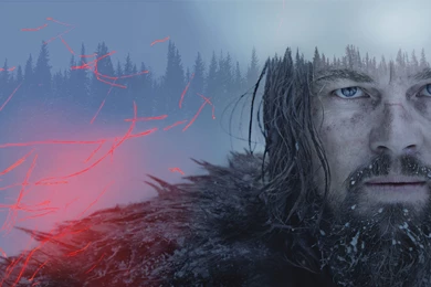 Leonardo DiCaprio The Revenant Wallpapers