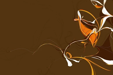 Brown And White Wallpapers   HD Wallpapers Lovely