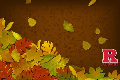 Rutgers University   Desktop Wallpapers