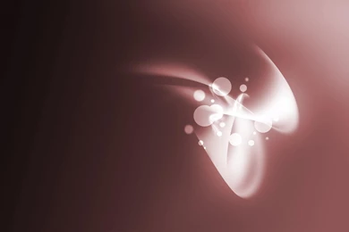 Auora, Brown, Wallpaper, Sprie, Desktop (