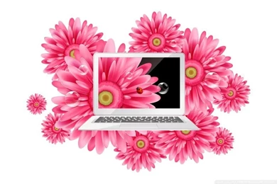 Laptop 3 HD Desktop Wallpapers : Widescreen : High Definition ...