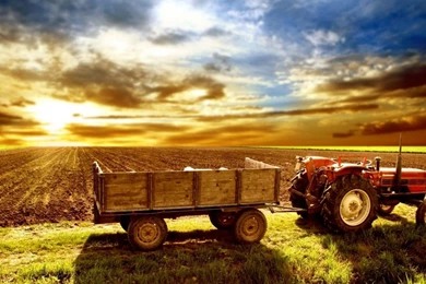 Girl Laptop Hd Wallpapers 3D