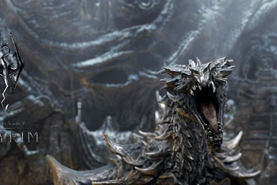 Download 1280x1024 TES5 Skyrim Dragon Wallpapers