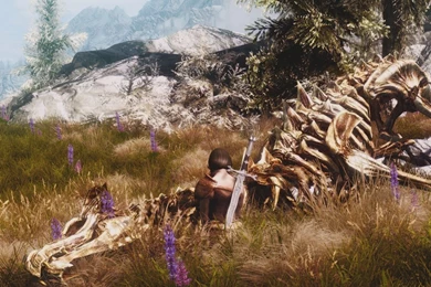 Download 1280x1024 Skyrim Dragon Skeleton Wallpapers