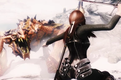 Elder scrolls v skyrim facing dragon by dead end thrills.jpg