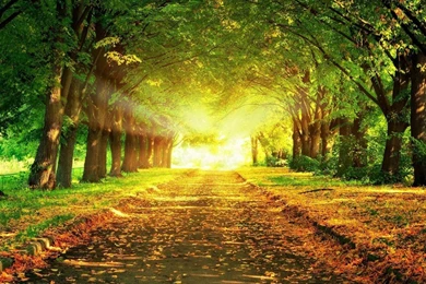 Top Autumn Wallpapers 1280x1024 Images For Pinterest