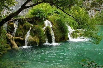 Download Wallpapers 1280x1024 River, Trees, Nature 1280x1024 HD ...