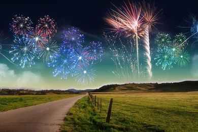 Bright Fireworks Field Scenery Wallpapers Widescreen And HD ...