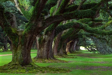 Scenic Wallpapers For Desktop