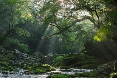 1080x1920 Natural Scenery Wallpapers HD