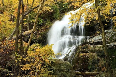 Free Wallpapers   Free Nature Wallpapers   HD Landscape 5 Wallpapers ...