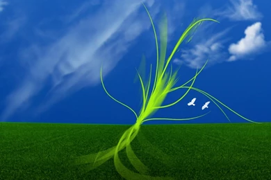 Top Nature Wallpapers 1280x1024 Images For Pinterest