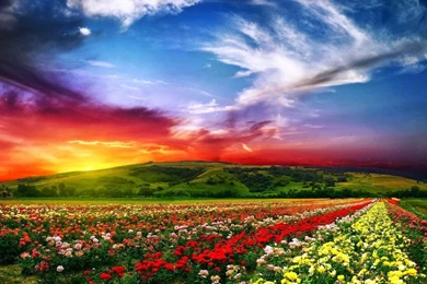 Nature Wallpapers Hd Desktop Free Download   HD Wallpapers And Pictures