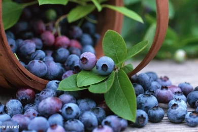 Download Full Hd Wallpapers For Desktop Archives   Free Desktop ...