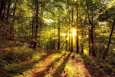 Full Screen Hd Wallpapers Download 3D