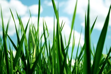 Nature Wallpapers 1280x1024 Wallpapers, 1280x1024 Wallpapers ...