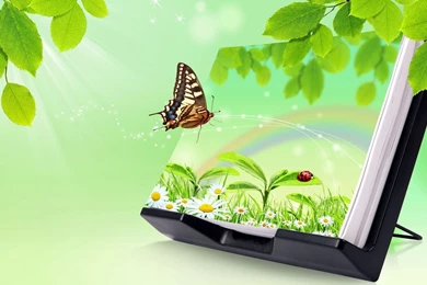 Wallpapers HD Abstract Nature As Picture Of A More Fantastic Nature ...