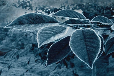 Winter Archives   HD Wallpapers Source