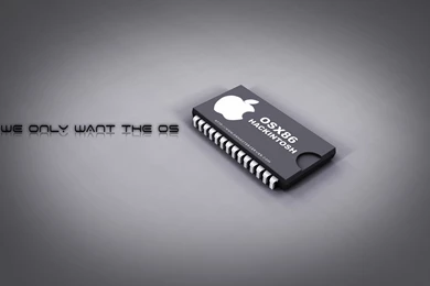 3D Wallpapers Designs: 3D Wallpapers Emma Watson